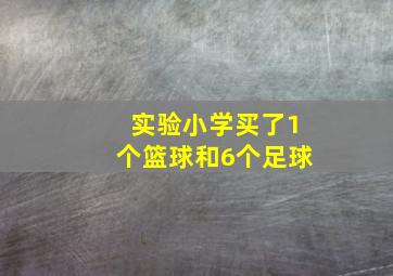 实验小学买了1个篮球和6个足球