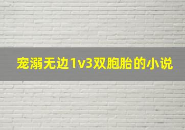 宠溺无边1v3双胞胎的小说