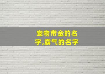 宠物带金的名字,霸气的名字