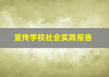 宣传学校社会实践报告