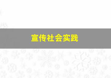 宣传社会实践