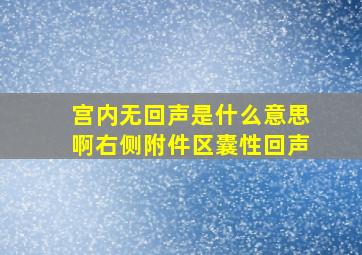 宫内无回声是什么意思啊右侧附件区囊性回声