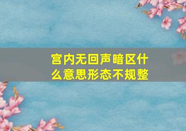 宫内无回声暗区什么意思形态不规整