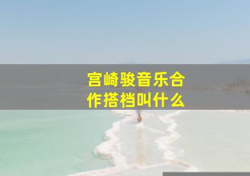 宫崎骏音乐合作搭档叫什么