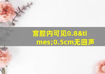 宫腔内可见0.8×0.5cm无回声