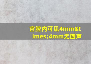 宫腔内可见4mm×4mm无回声