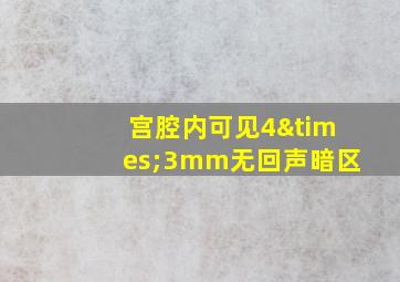 宫腔内可见4×3mm无回声暗区