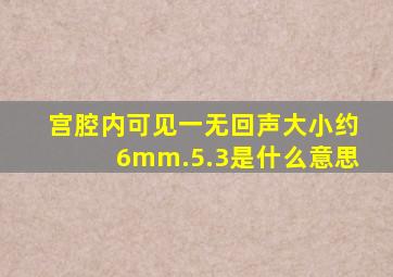 宫腔内可见一无回声大小约6mm.5.3是什么意思