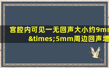 宫腔内可见一无回声大小约9mm×5mm周边回声增强