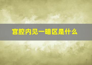 宫腔内见一暗区是什么