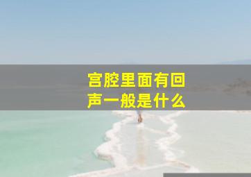 宫腔里面有回声一般是什么