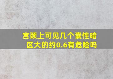 宫颈上可见几个囊性暗区大的约0.6有危险吗