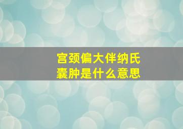 宫颈偏大伴纳氏囊肿是什么意思