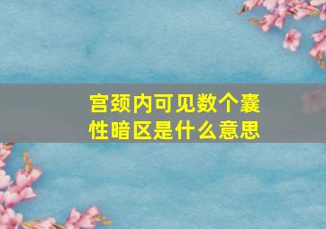 宫颈内可见数个囊性暗区是什么意思