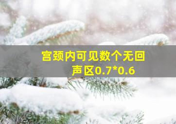 宫颈内可见数个无回声区0.7*0.6