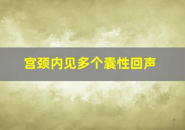 宫颈内见多个囊性回声