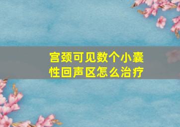 宫颈可见数个小囊性回声区怎么治疗