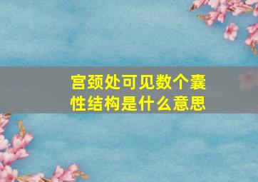 宫颈处可见数个囊性结构是什么意思