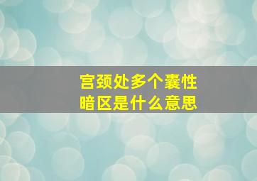 宫颈处多个囊性暗区是什么意思