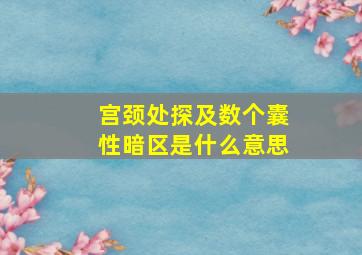 宫颈处探及数个囊性暗区是什么意思