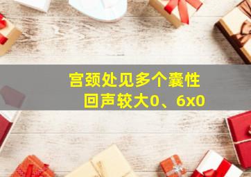 宫颈处见多个囊性回声较大0、6x0