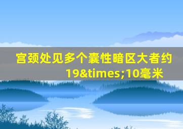 宫颈处见多个囊性暗区大者约19×10毫米