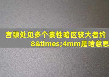 宫颈处见多个囊性暗区较大者约8×4mm是啥意思