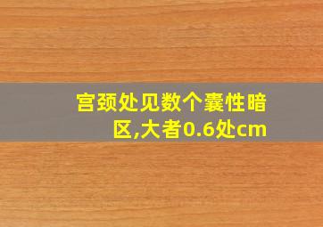 宫颈处见数个囊性暗区,大者0.6处cm