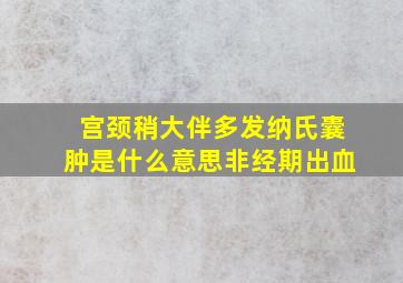 宫颈稍大伴多发纳氏囊肿是什么意思非经期出血