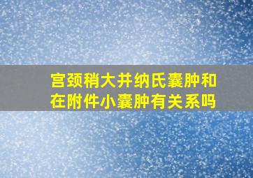 宫颈稍大并纳氏囊肿和在附件小囊肿有关系吗