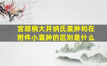 宫颈稍大并纳氏囊肿和在附件小囊肿的区别是什么