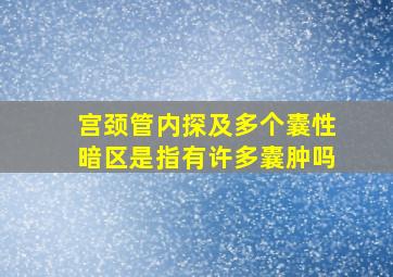 宫颈管内探及多个囊性暗区是指有许多囊肿吗