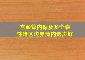 宫颈管内探及多个囊性暗区边界清内透声好