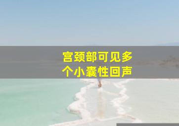 宫颈部可见多个小囊性回声