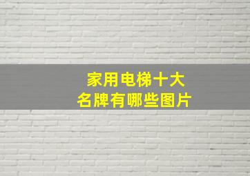 家用电梯十大名牌有哪些图片