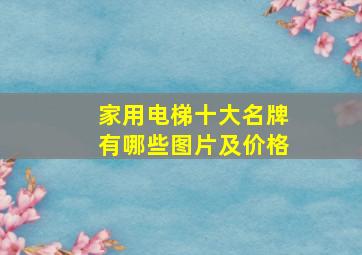 家用电梯十大名牌有哪些图片及价格