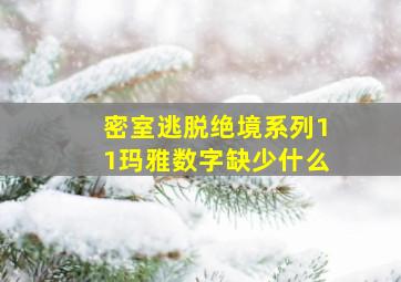 密室逃脱绝境系列11玛雅数字缺少什么