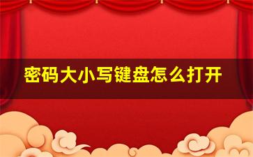 密码大小写键盘怎么打开