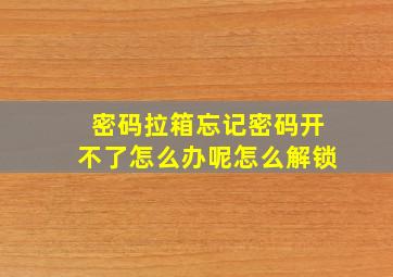 密码拉箱忘记密码开不了怎么办呢怎么解锁