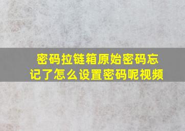 密码拉链箱原始密码忘记了怎么设置密码呢视频