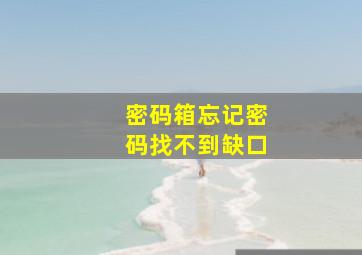 密码箱忘记密码找不到缺口