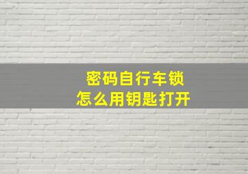 密码自行车锁怎么用钥匙打开