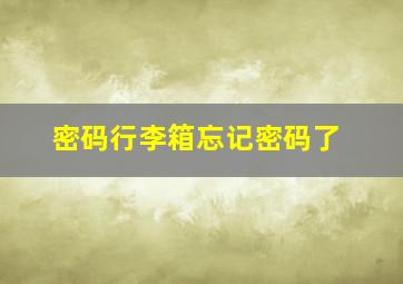 密码行李箱忘记密码了