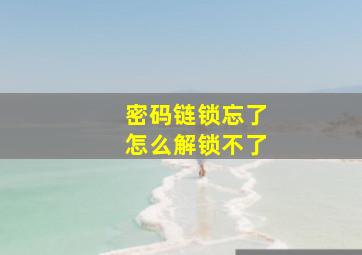 密码链锁忘了怎么解锁不了