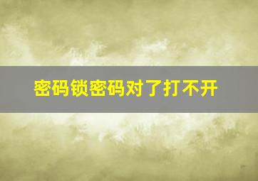 密码锁密码对了打不开