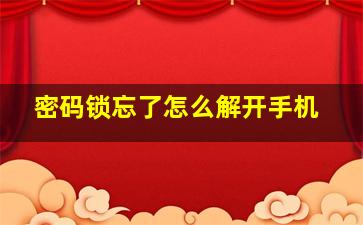 密码锁忘了怎么解开手机