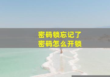 密码锁忘记了密码怎么开锁