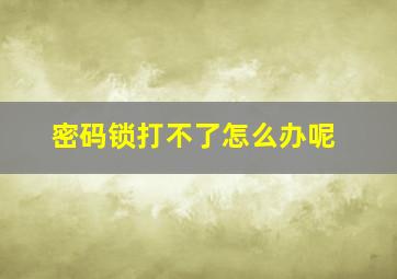 密码锁打不了怎么办呢