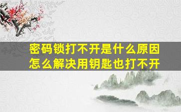 密码锁打不开是什么原因怎么解决用钥匙也打不开