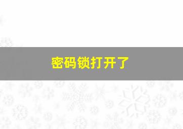 密码锁打开了